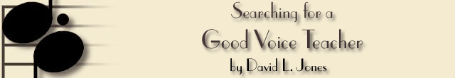 Searching for a Good Voice Teacher
